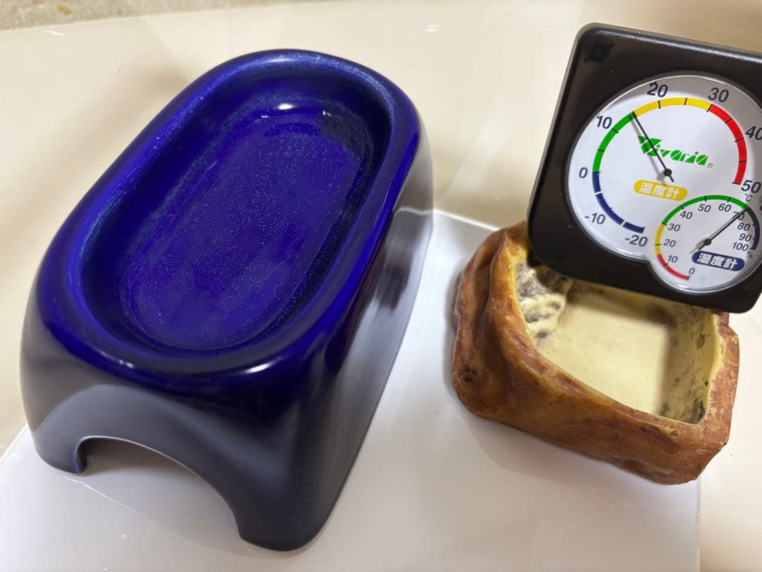 値段交渉◎レプボセット#爬虫類飼育セット