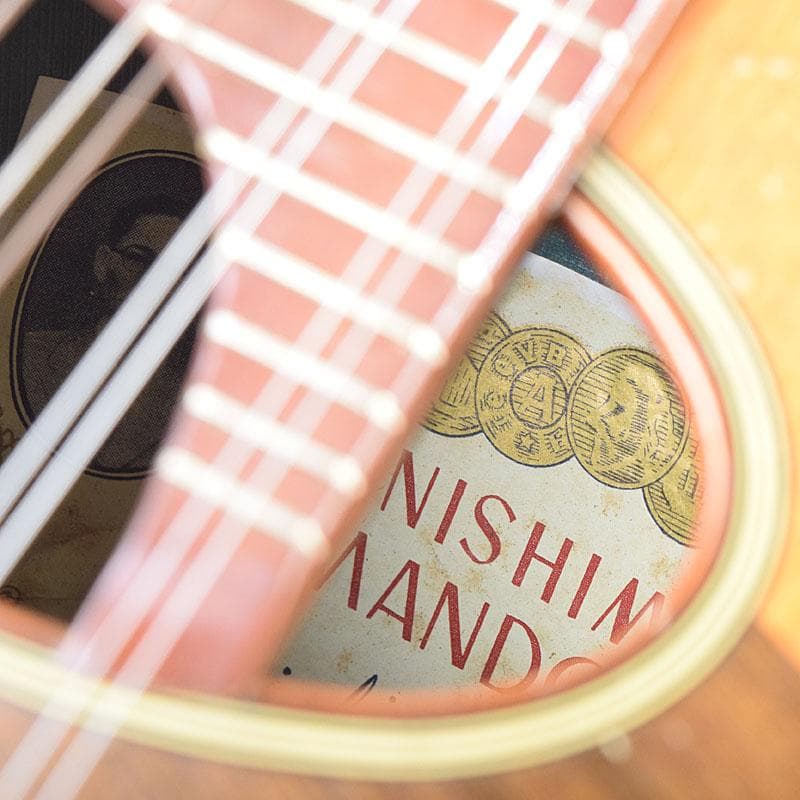 国島マンドリン　NO.104　ハードケース・鼈甲ピック付　M　R9251H