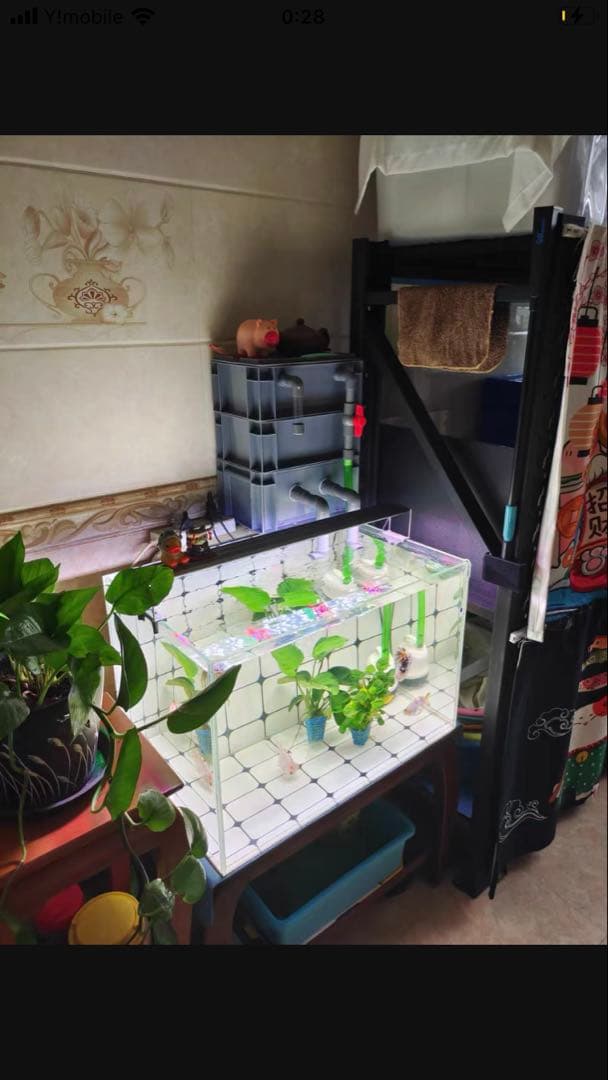 水中ポンプ25wホース濾過マット付き大型水槽万能濾過装置濾過外部式濾過層送料込み