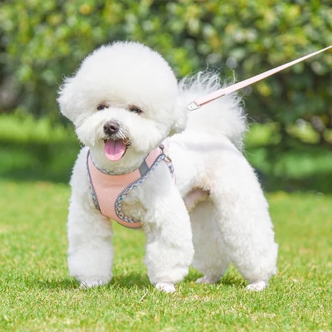 ❤未使用❤犬用　ハーネス　Sサイズ　スエード　ピンク