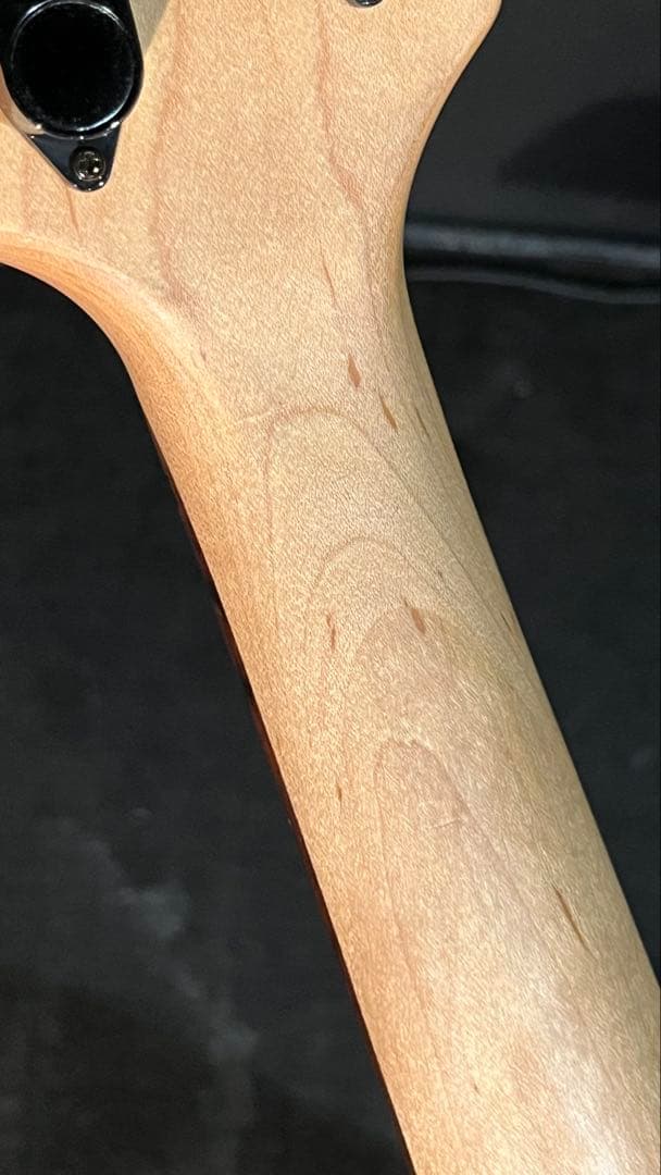 フェルナンデス FRB-75？ EMG搭載！