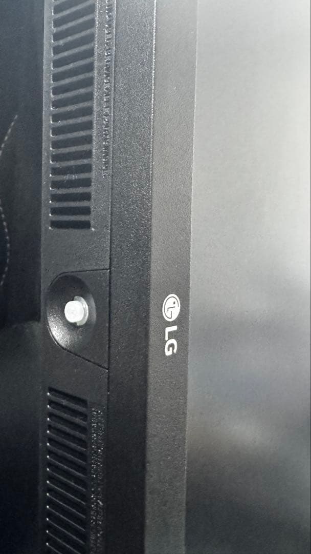 LG 29インチ ウルトラワイドモニター 29WP500