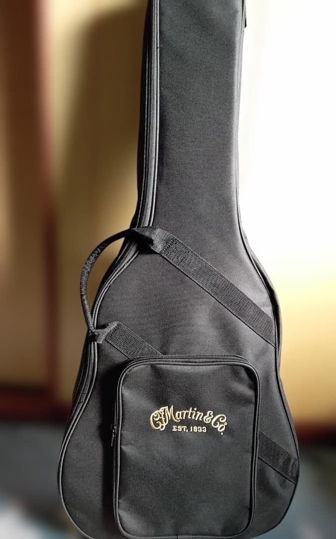 値引き‼️美品❗Martin　DJR-10-02 オール単板