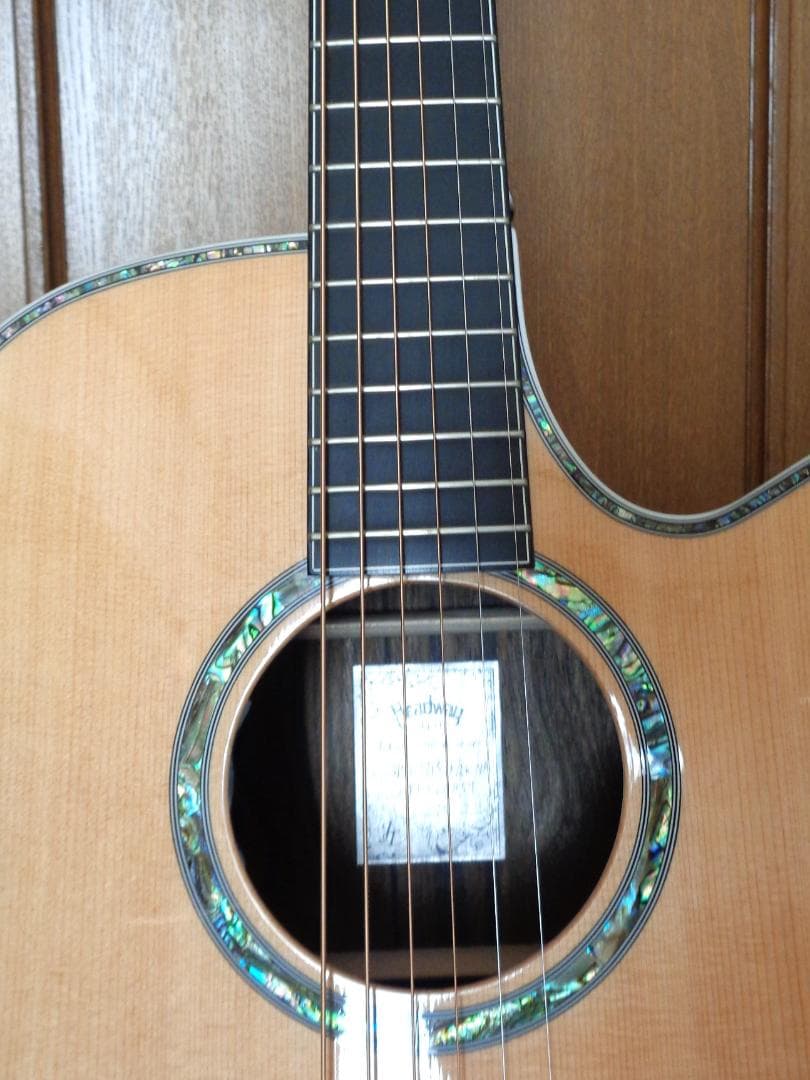 HEADWAY HSJ-5115SE/ZR　エレアコ　美品！　純正ギグバッグ付属