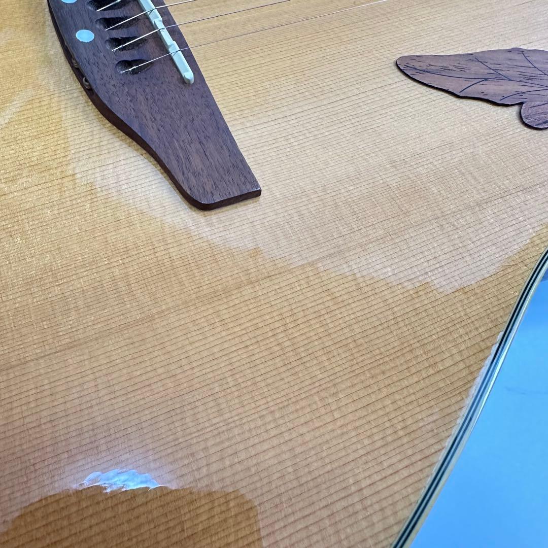 ovation APPLAUSE AE248 アコギ エレアコ