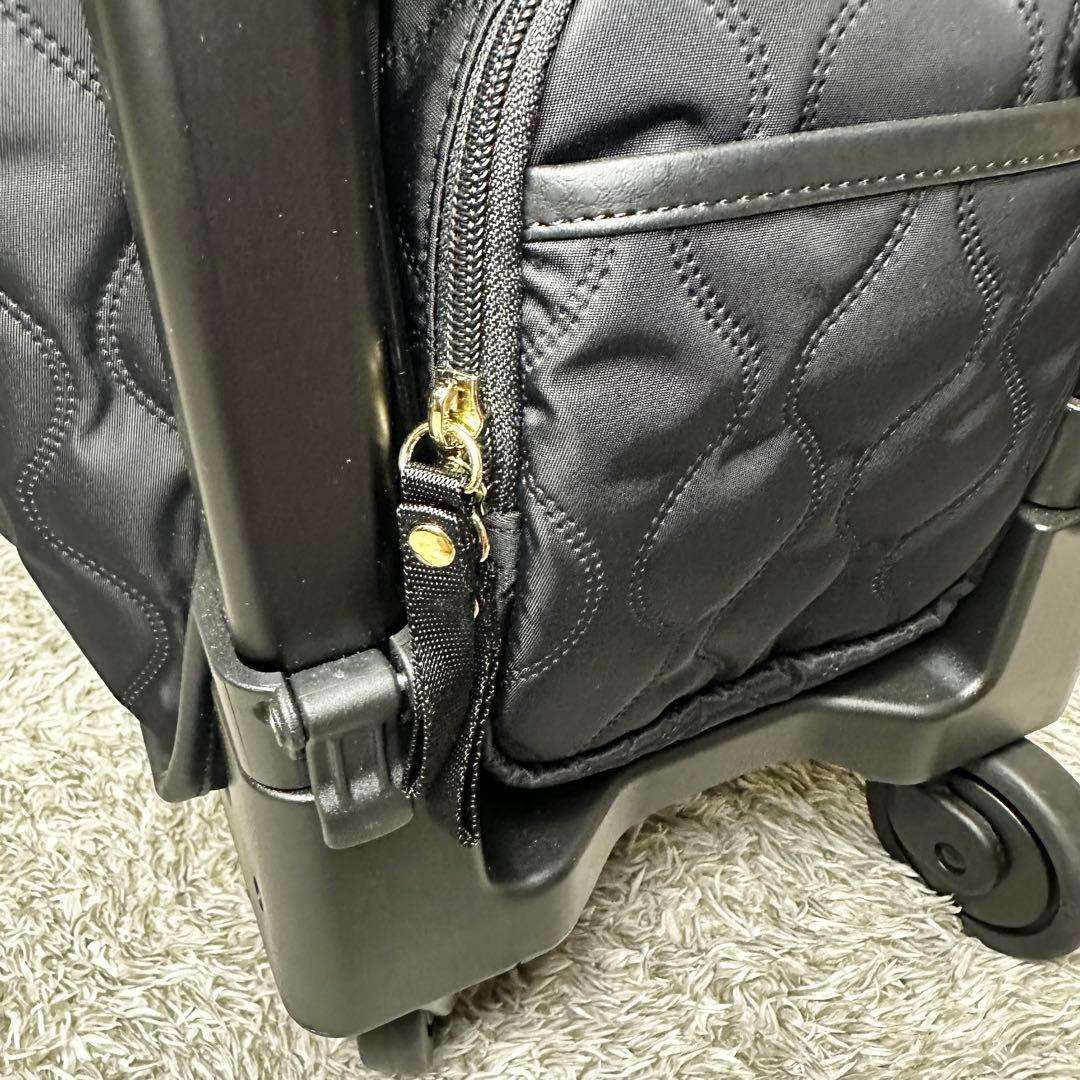 SWANY スワニー　キャリーバッグ D-589 プーフォ TS18