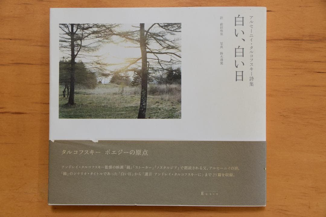 アルセーニイ・タルコフスキー詩集 『白い、白い日』