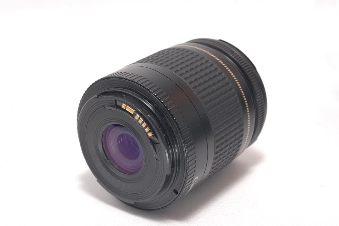 ⭐️カメラデビューにも⭐️Canon Kiss X2 キャノン　デジタル一眼