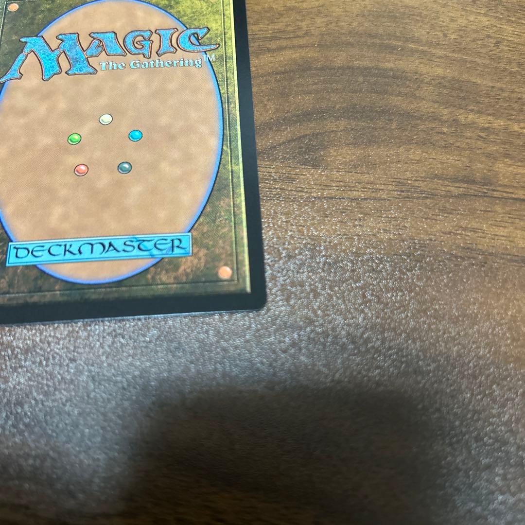 MTG FF 旅するチョコボ　ボーダーレス FOIL 日本語