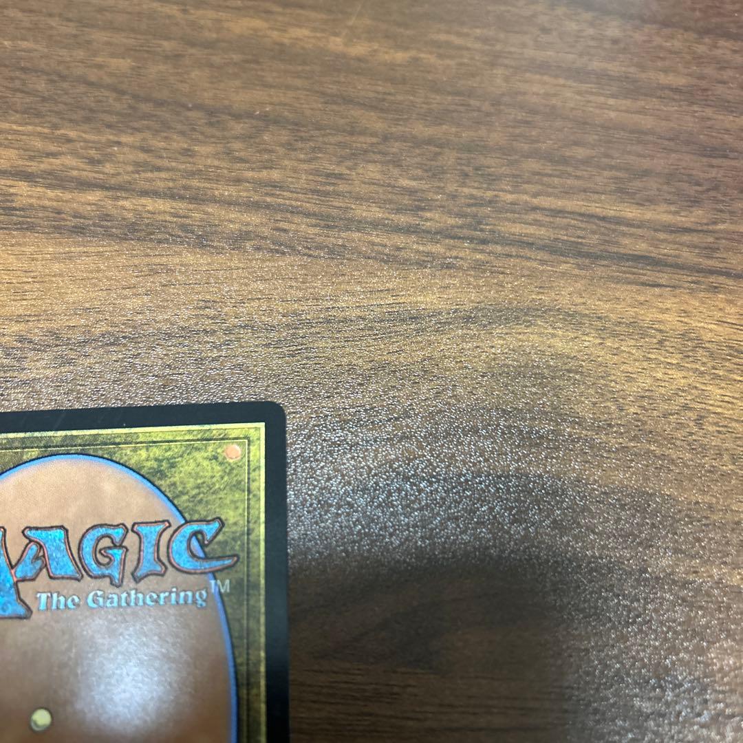 MTG FF 旅するチョコボ　ボーダーレス FOIL 日本語