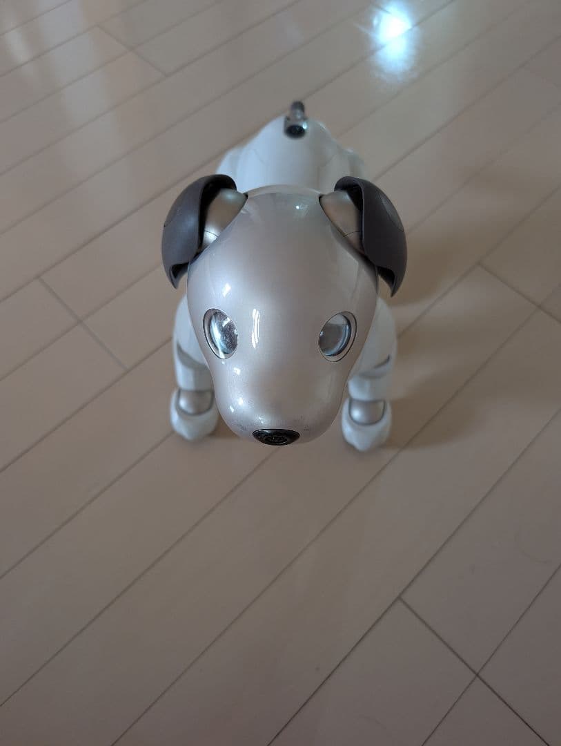 その他 SONY AIBO ERS-1000