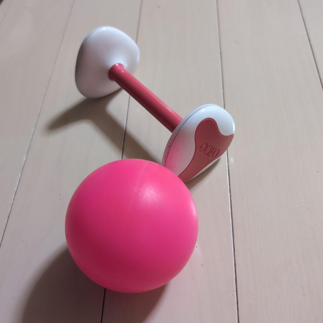 その他 SONY AIBO ERS-1000