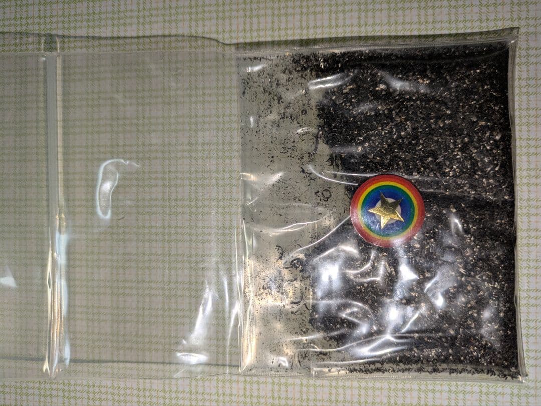 隕石の粉　ギベオン　宇宙村　重量20グラム