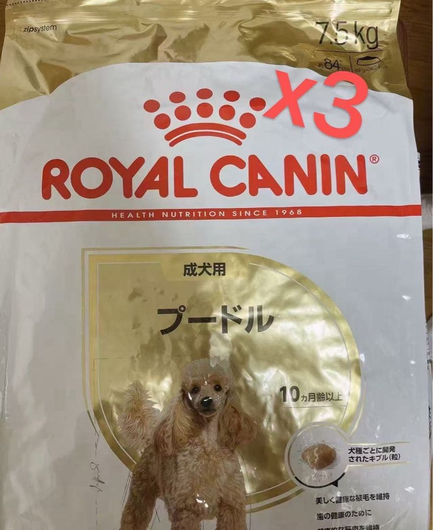  CANIN プードル用ドライフード 7.5kg＊3
