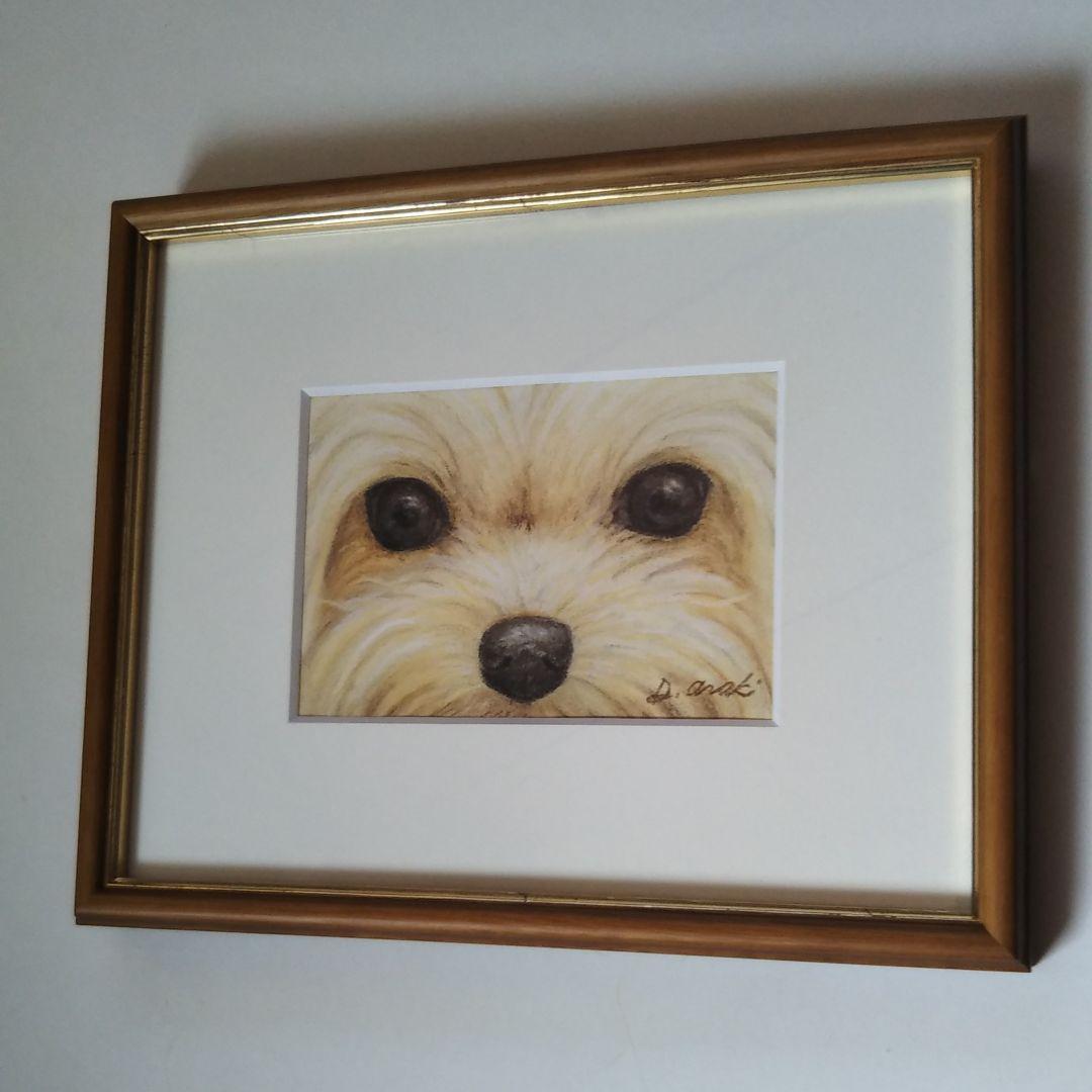 【原画】Animal-eyes『犬』（パステル画）