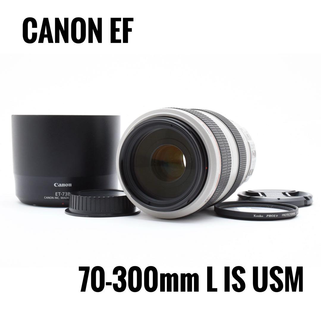 キヤノン CANON EF 70-300mm F4-5.6 LIS USM