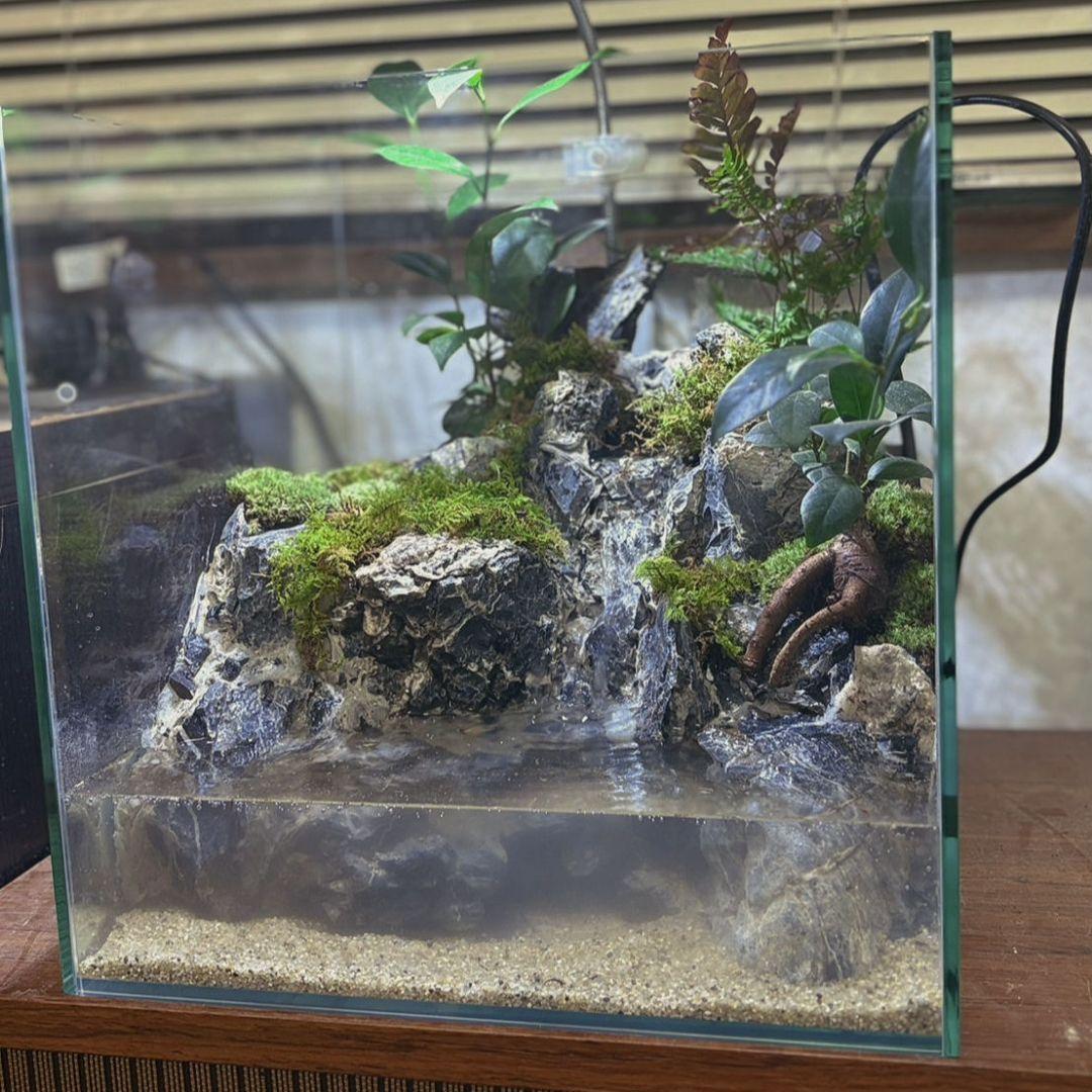 滝の流れるアクアテラリウム　No.1142