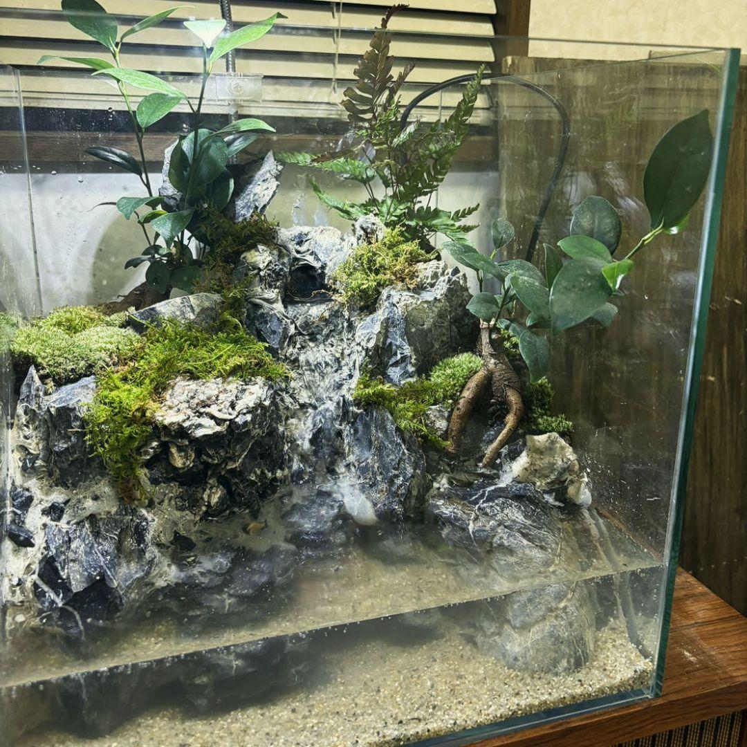 滝の流れるアクアテラリウム　No.1142