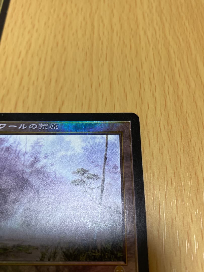 ラノワールの荒原　FOIL 4枚セット　APC