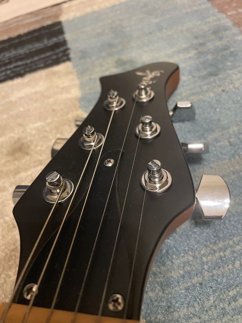 ryoga skater ／LEC Seymour Duncan ロックペグ