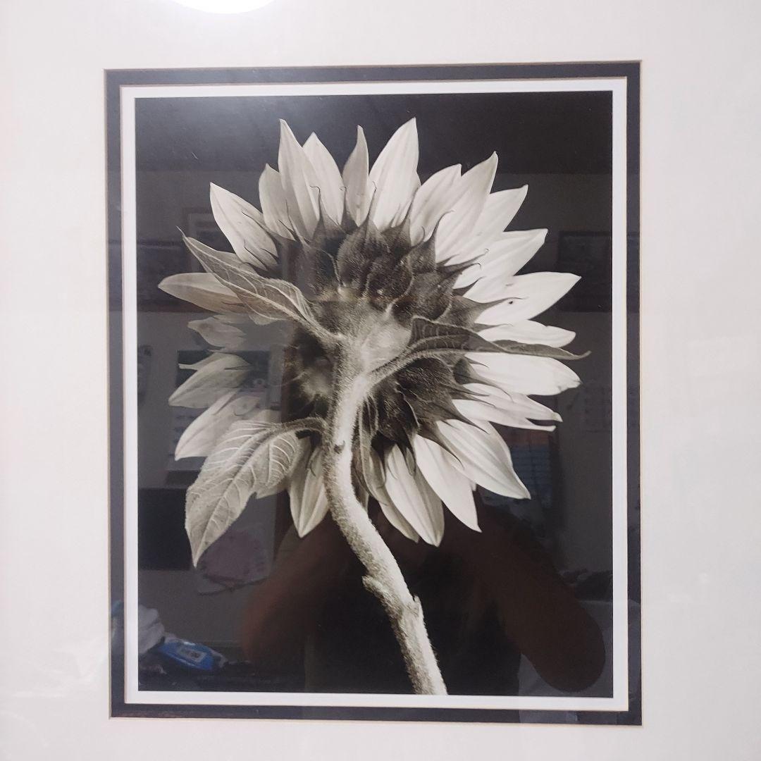 アートフォト作品ひまわり