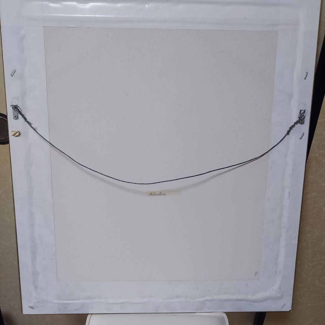 アートフォト作品ひまわり