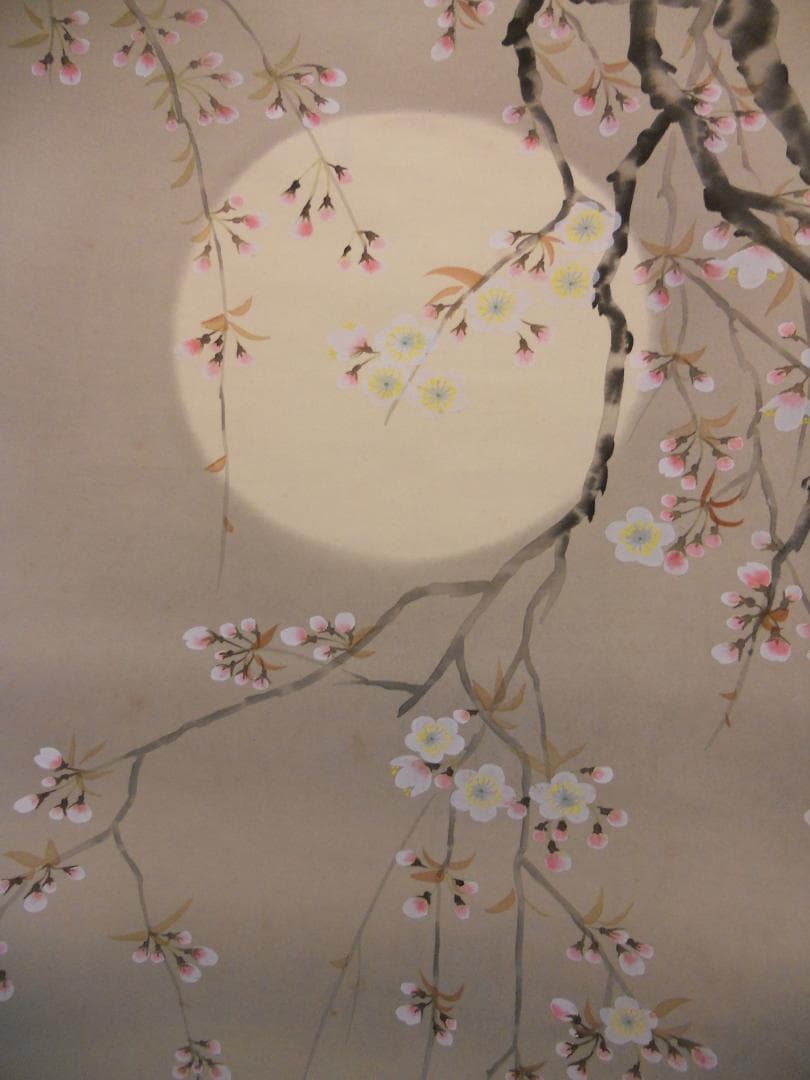 掛け軸 卓泉 夜桜 絹本 希少 軸装 茶道具 掛軸 美品 です。