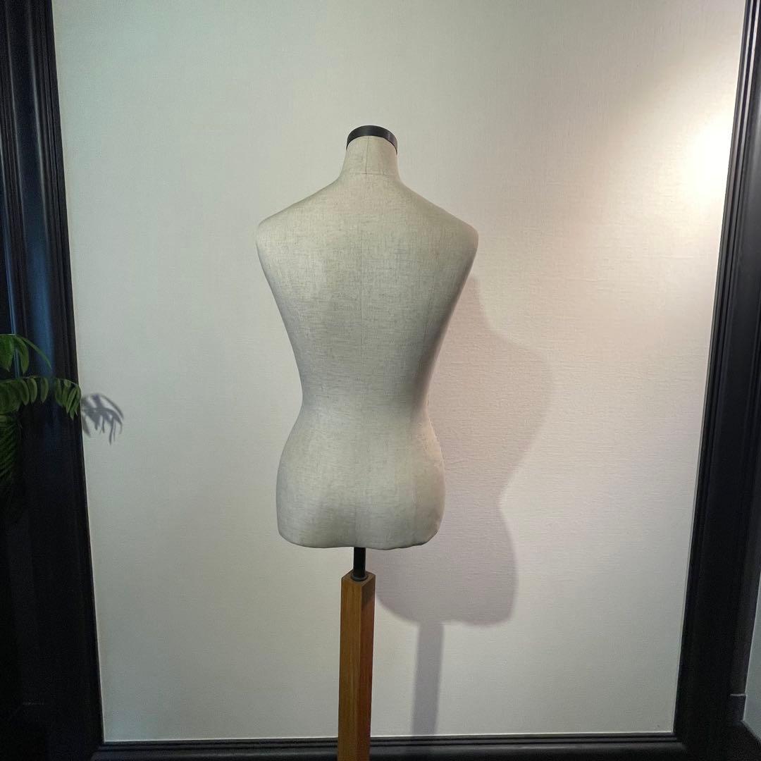 レディーストルソー