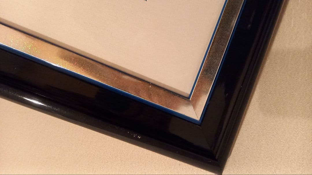 ヒロ　ヤマガタ【スター ライトコンサート 】