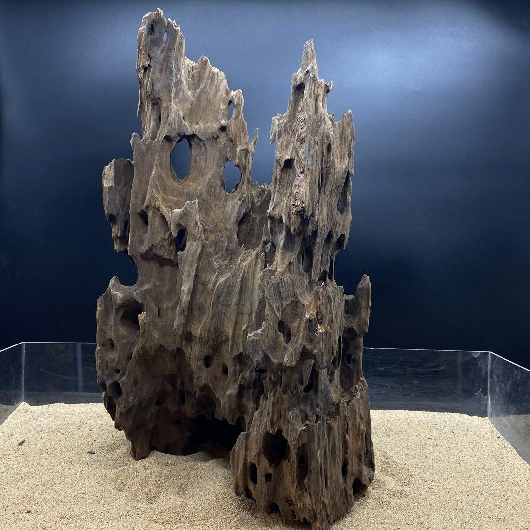 MMW-6273 特大マシンガンウッド　自立一点物　流木　アクアリウム