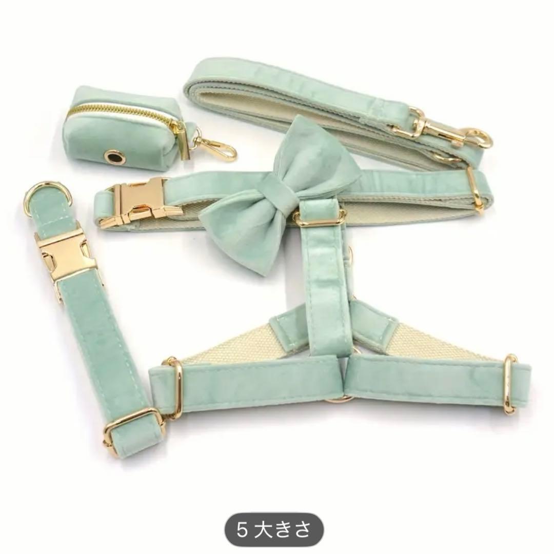 今最安♡ オーダー名前 グリーンブルー くすみ 犬 首輪 ハーネスベルベット