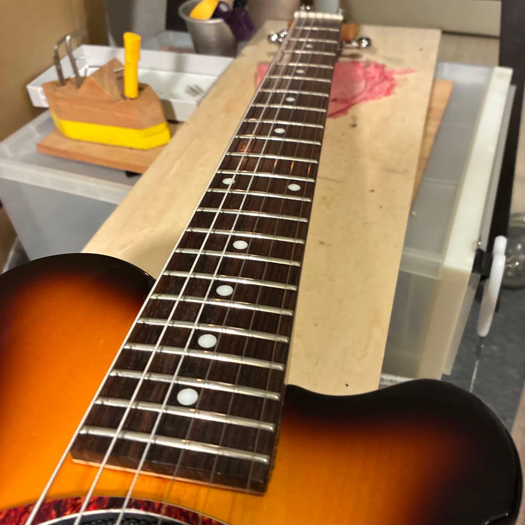 ピグノーズPGG200 サンバースト