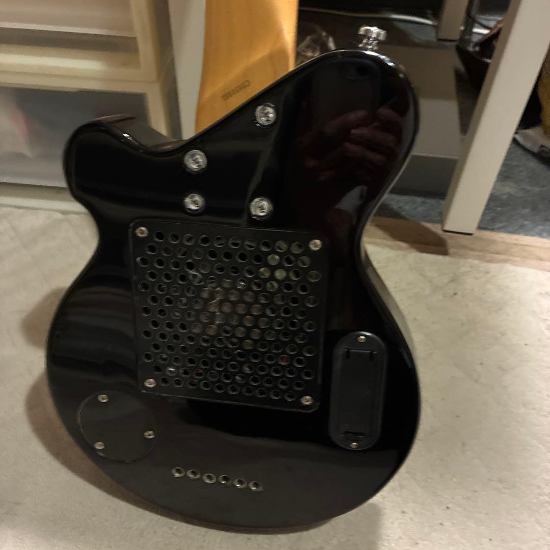 ピグノーズPGG200 サンバースト