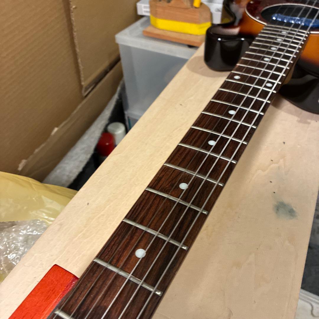 ピグノーズPGG200 サンバースト