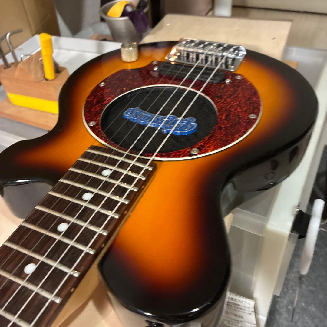 ピグノーズPGG200 サンバースト