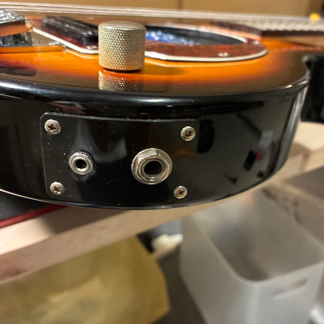 ピグノーズPGG200 サンバースト