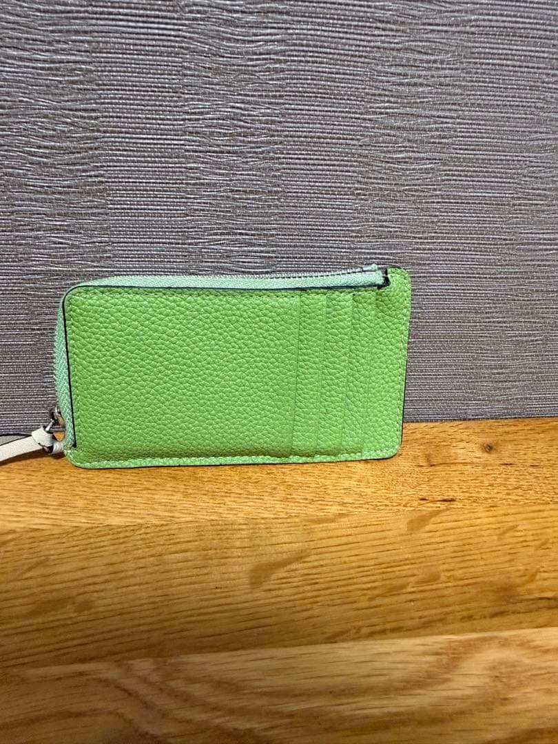 ※ゆゆゆ LOEWE ケース グリーン/ブラウン