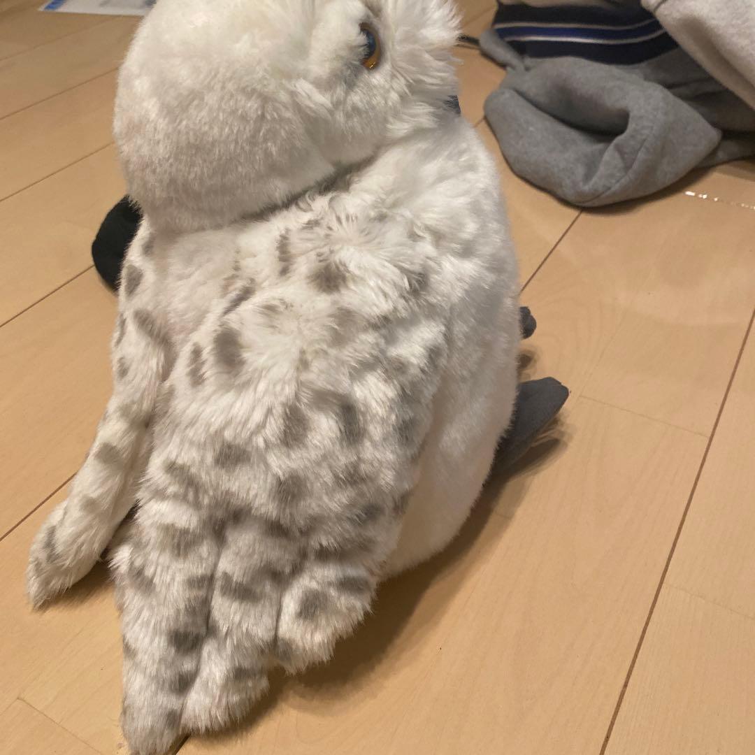 ハリポッターの鳥