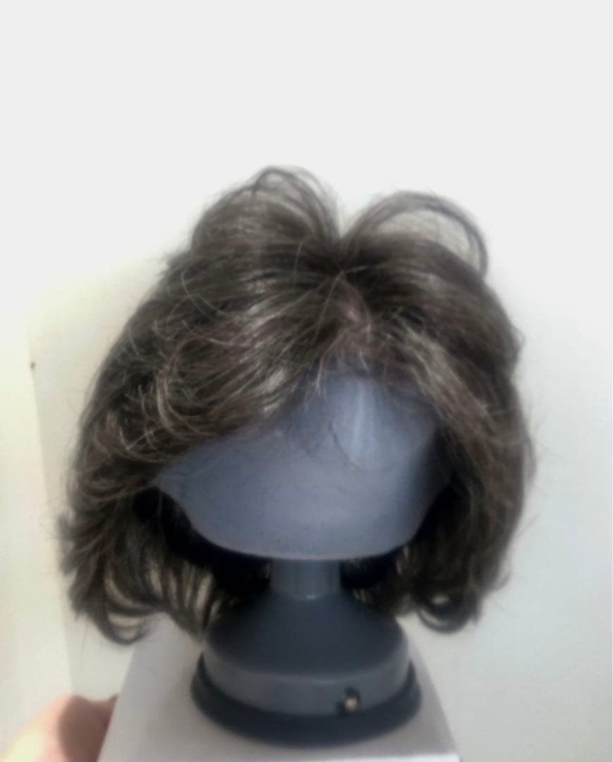 NAO-ART グレー ショートウィッグ