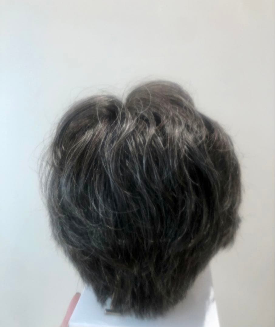 NAO-ART グレー ショートウィッグ