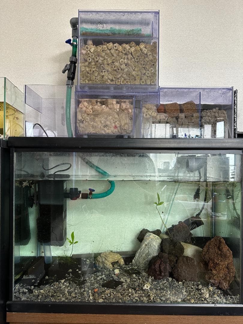 75cm水槽　水槽台　オーダーメイド上部フィルター　他オマケ