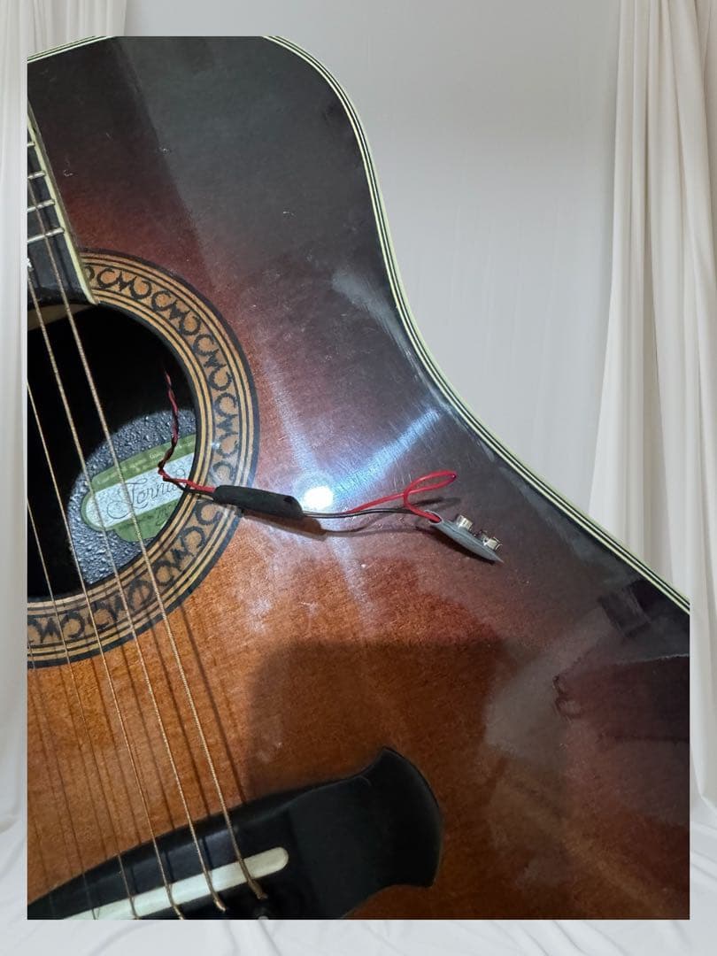 レフティ スプルース単板 81年製 morris tornado xx エレアコ