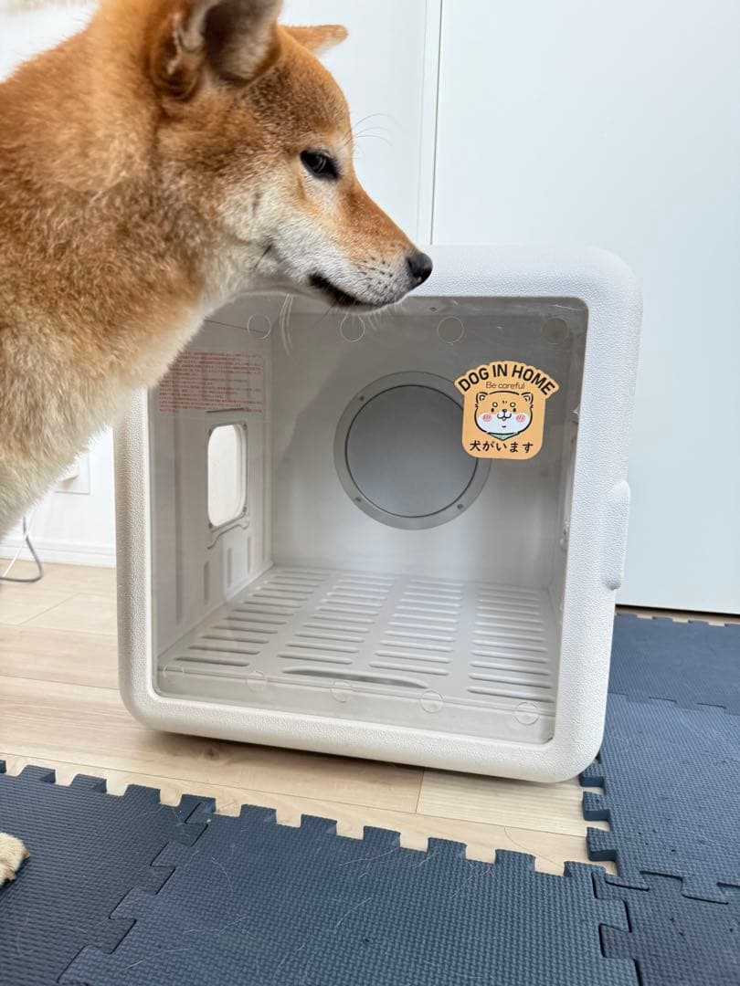 CAARANY ペットドライルーム 65L