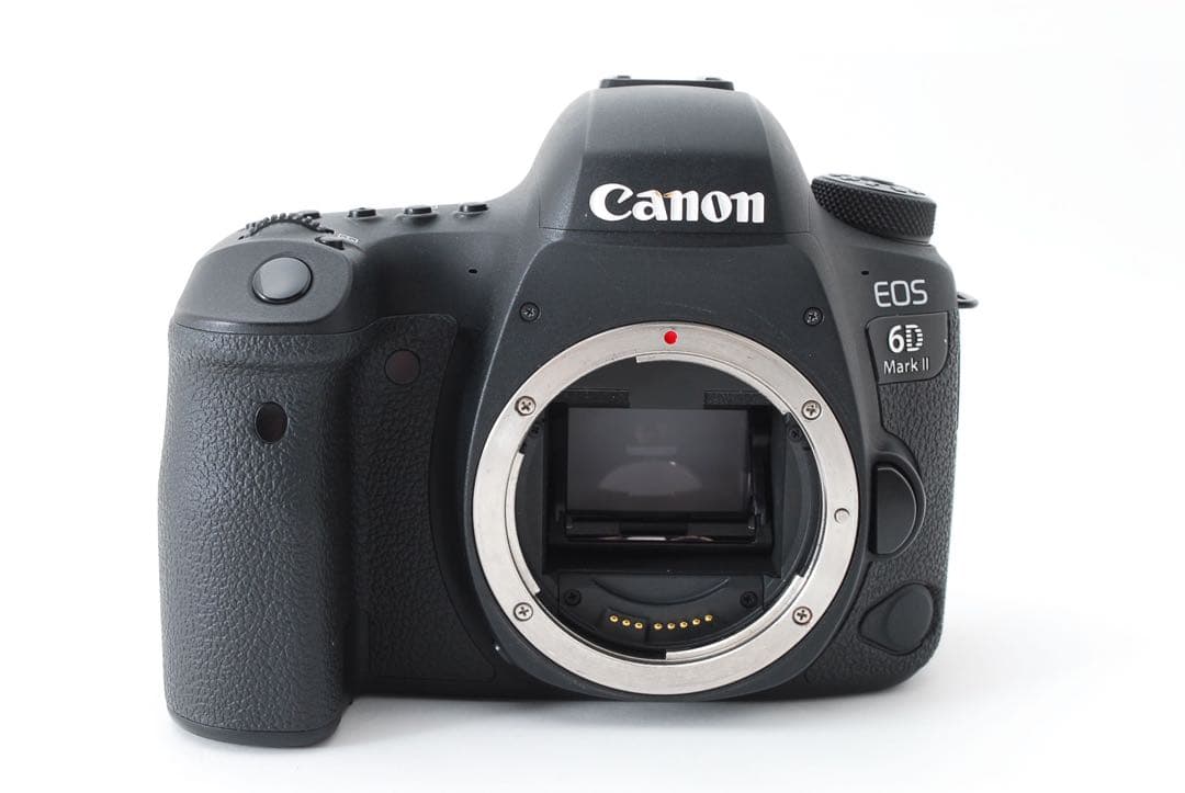 デジタル一眼レフカメラCanon EOS 80D標準&望遠ダブルレンズセット