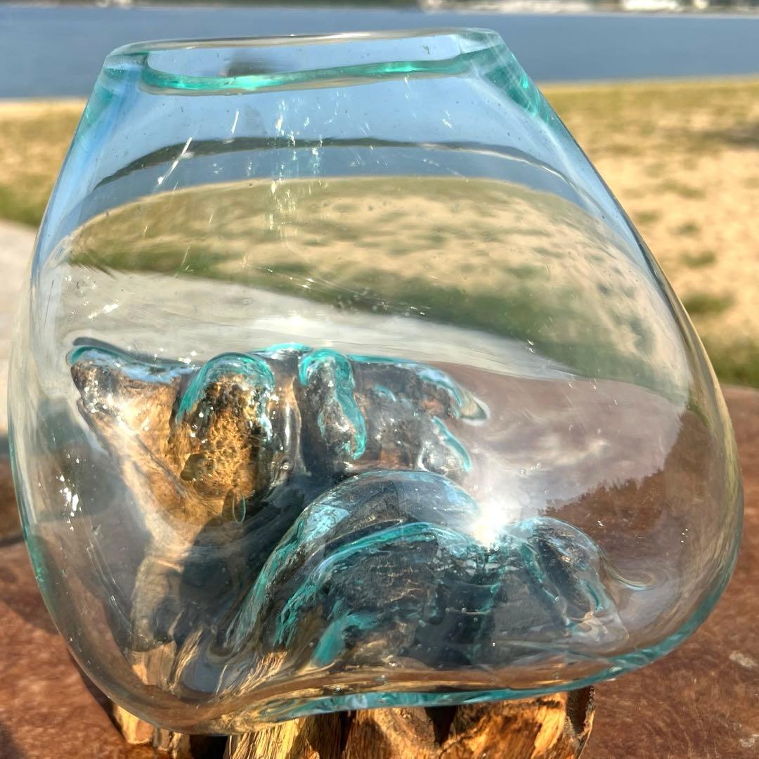 流木ガラス オブジェ中S 花瓶 金魚鉢 ガーデニング テラリウム 観賞魚 容器