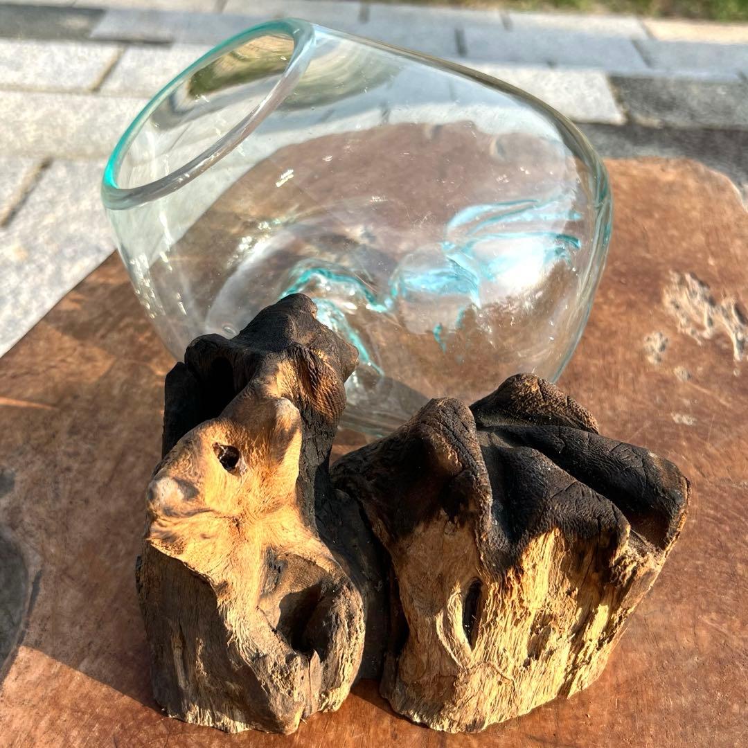 流木ガラス オブジェ中S 花瓶 金魚鉢 ガーデニング テラリウム 観賞魚 容器