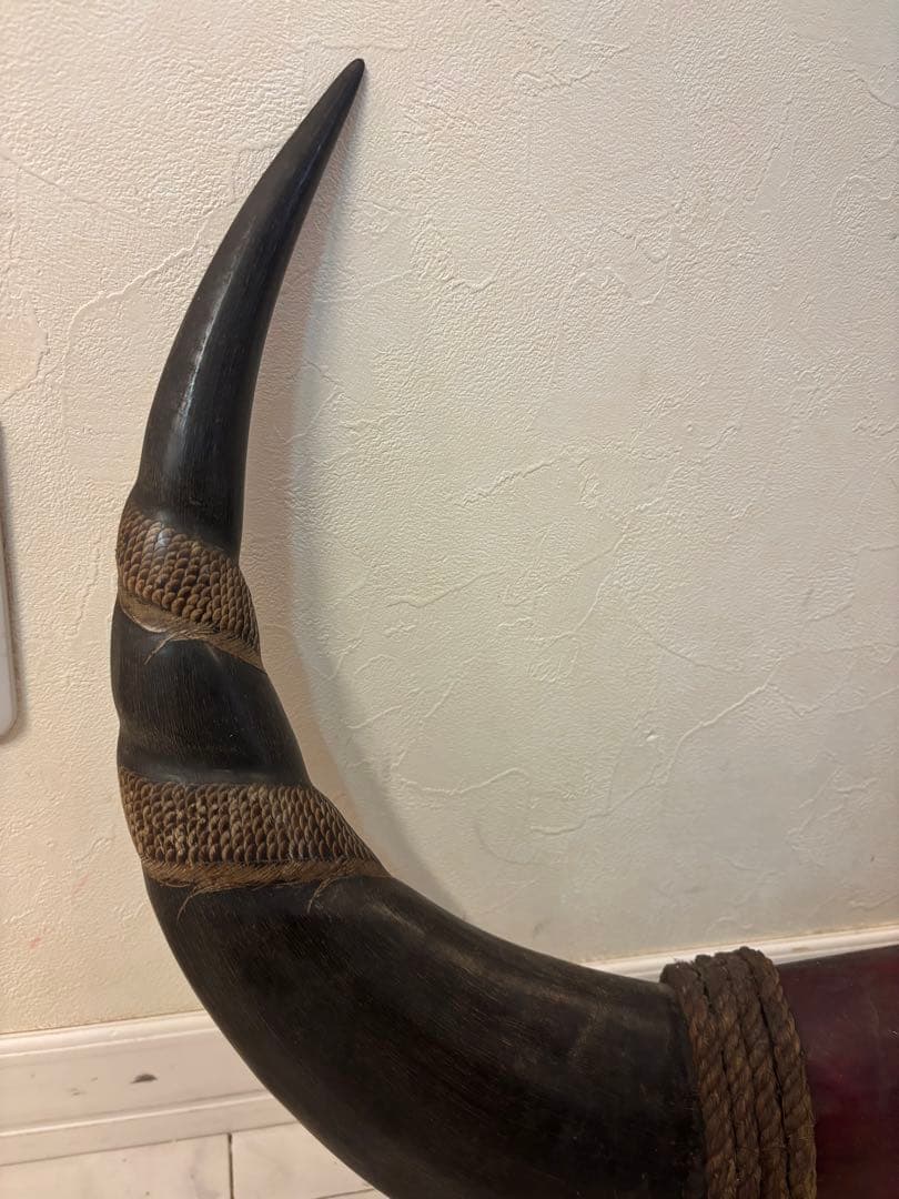 牛の角　約90センチ　龍　オブジェ　飾り　インテリア　水牛