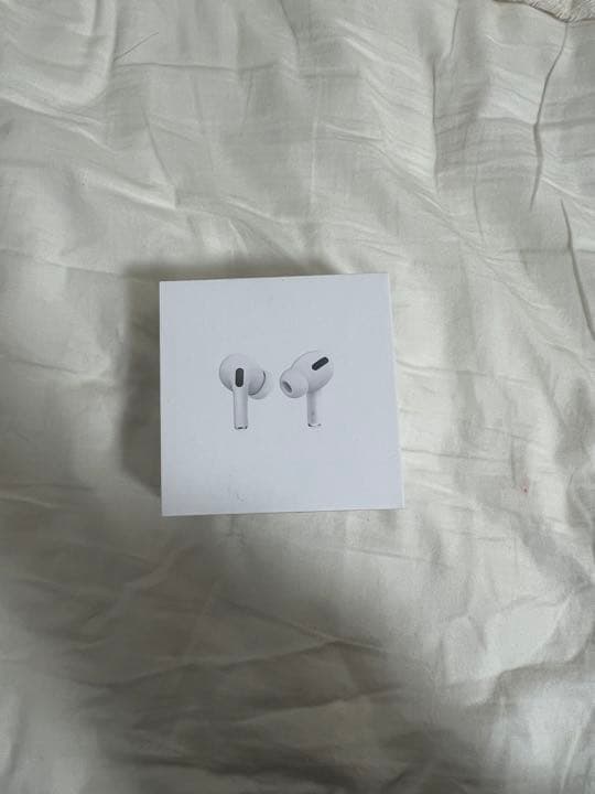 ヘッドホン APPLE MWP22J/A