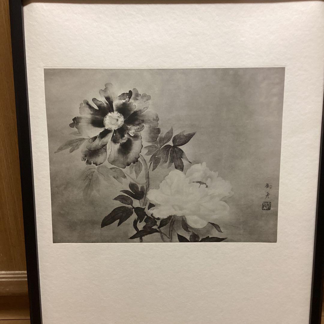 天才画家　速水御舟　作品集大作編　便利堂監修　NO 【50    牡丹双華】画集