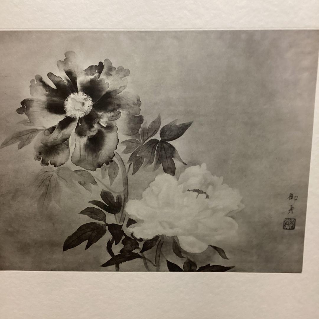 天才画家　速水御舟　作品集大作編　便利堂監修　NO 【50    牡丹双華】画集